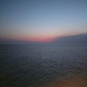 Meet your Posher, Alec